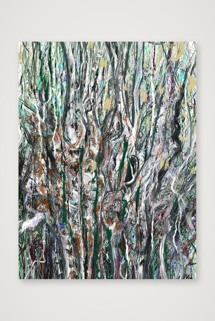 Birch — 60×80cm Print only