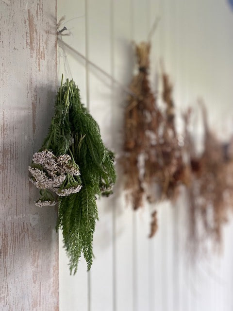 The Secret Island Retreat