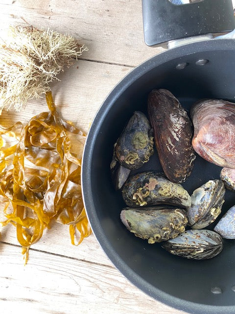 The Secret Island Retreat