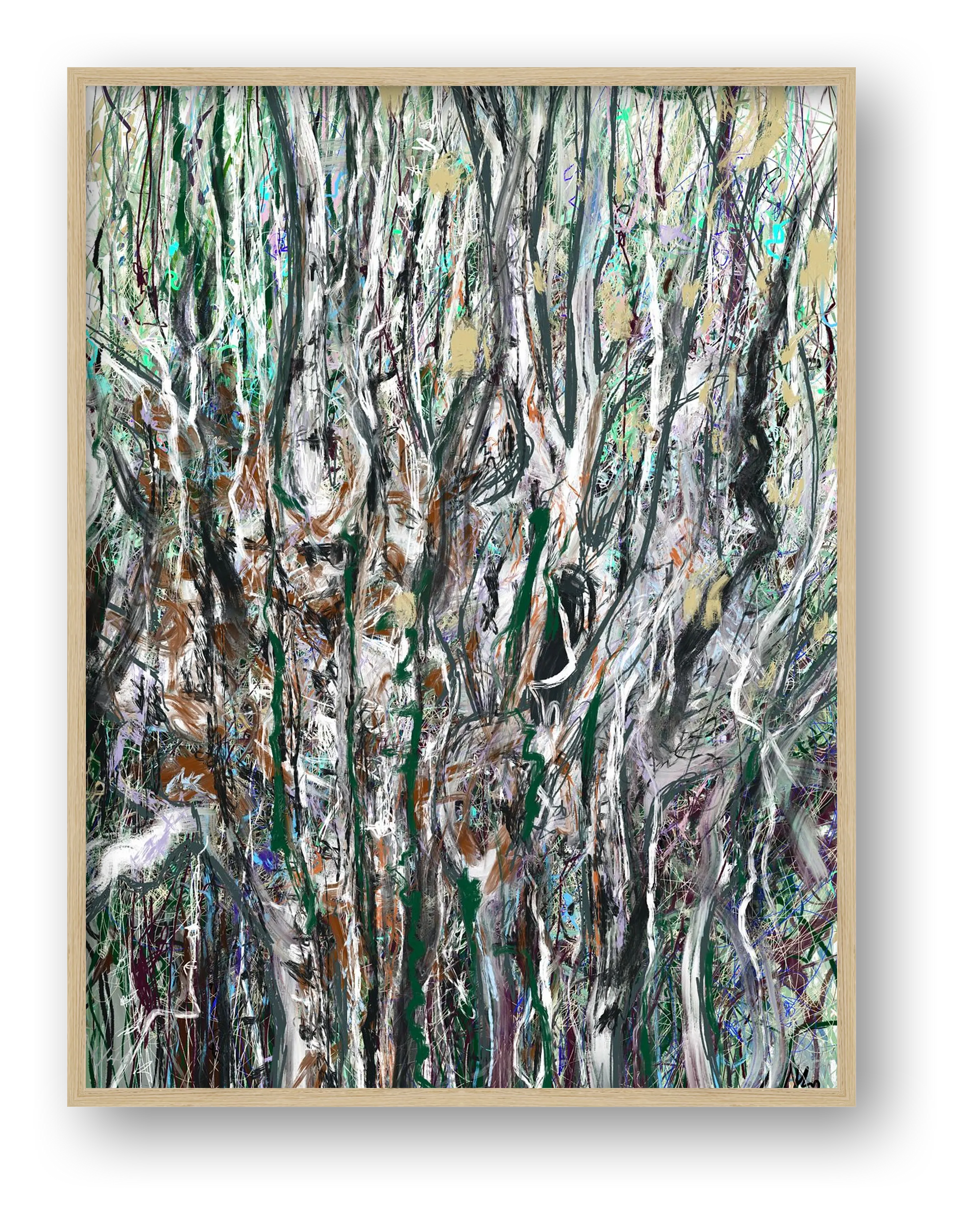 Birch — framed